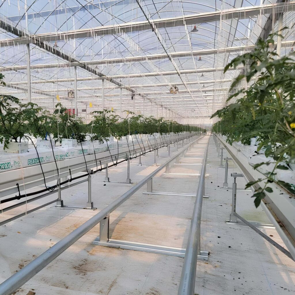 Pipe rail way inside of greenhouse 1