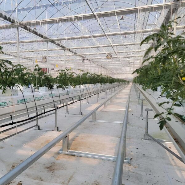 Pipe rail way inside of greenhouse